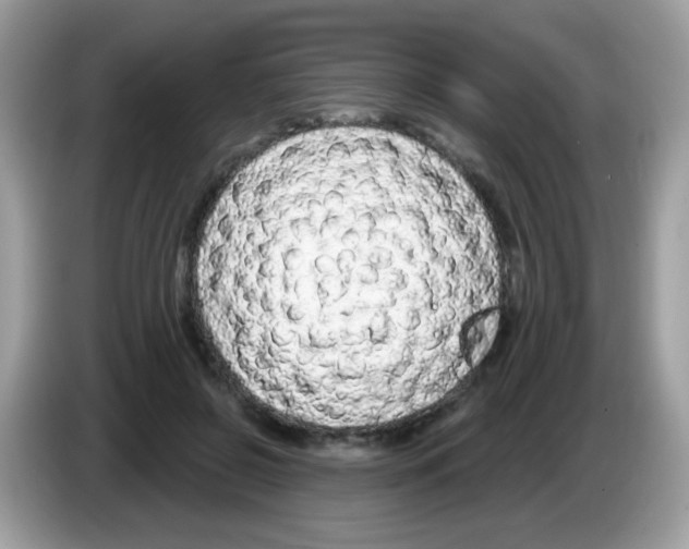 X0000086250550200704261938