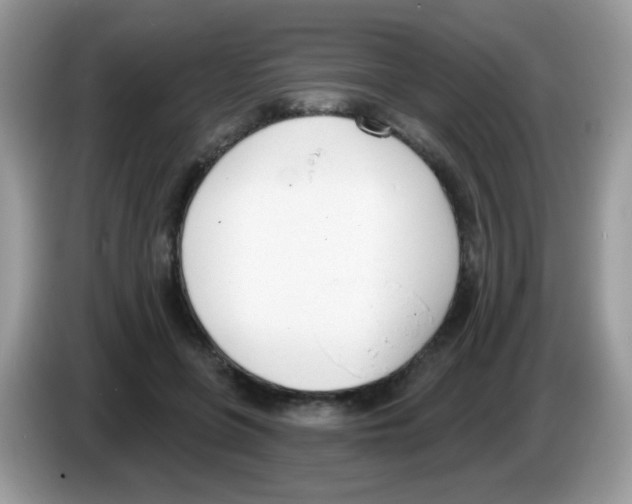 X0000086250551200704261938