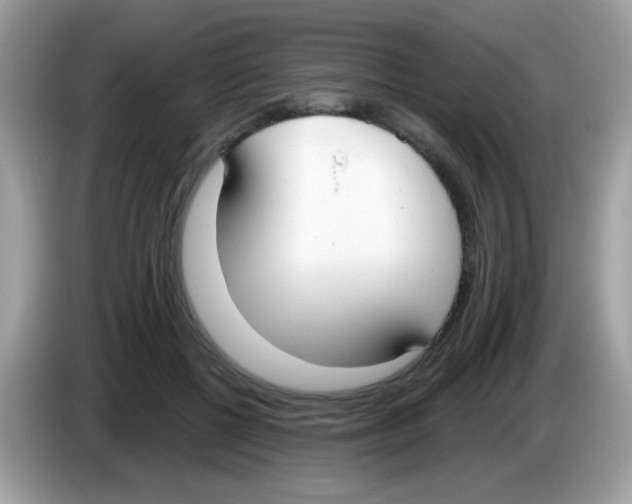 X0000086250552200704261938