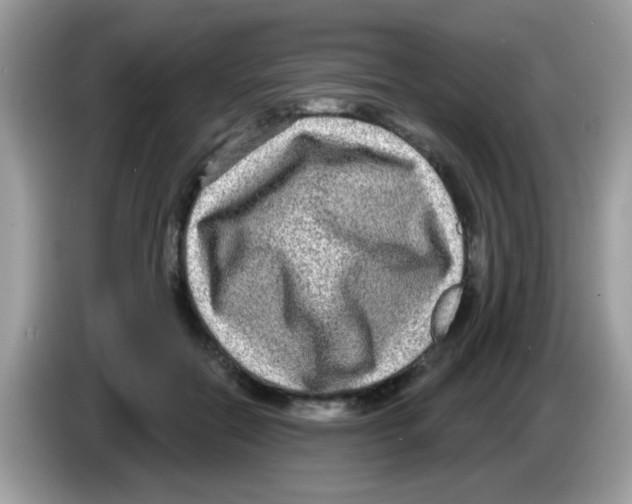 X0000086250554200704261938