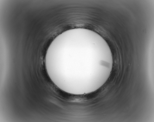 X0000086250555200704261938