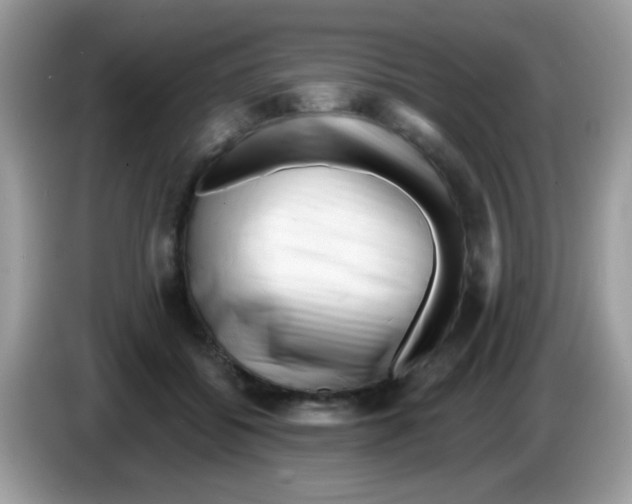 X0000086250556200704261938