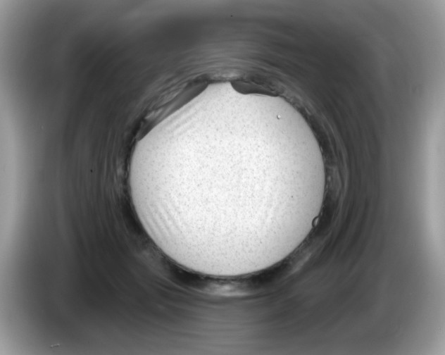 X0000086250557200704261938