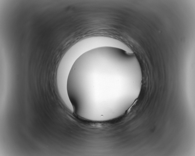 X0000086250558200704261938