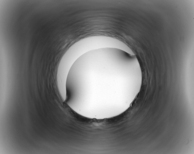 X0000086250560200704261938