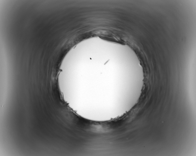 X0000086250561200704261938