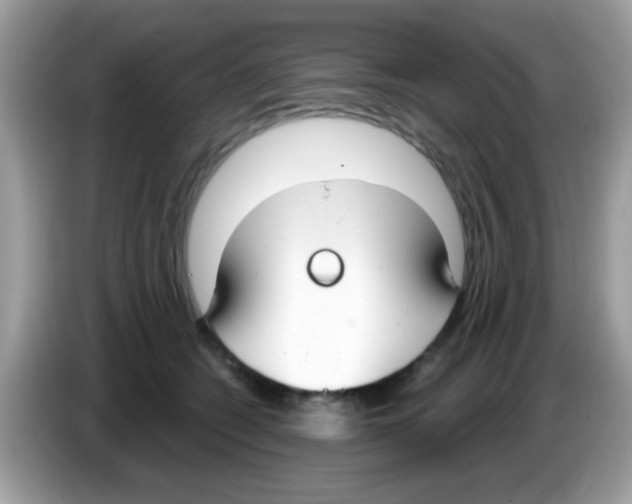 X0000086250562200704261938