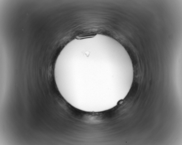 X0000086250563200704261938