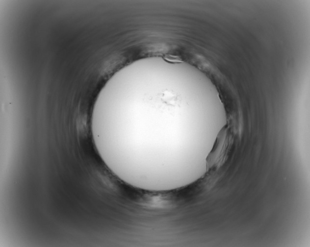 X0000086250564200704261938
