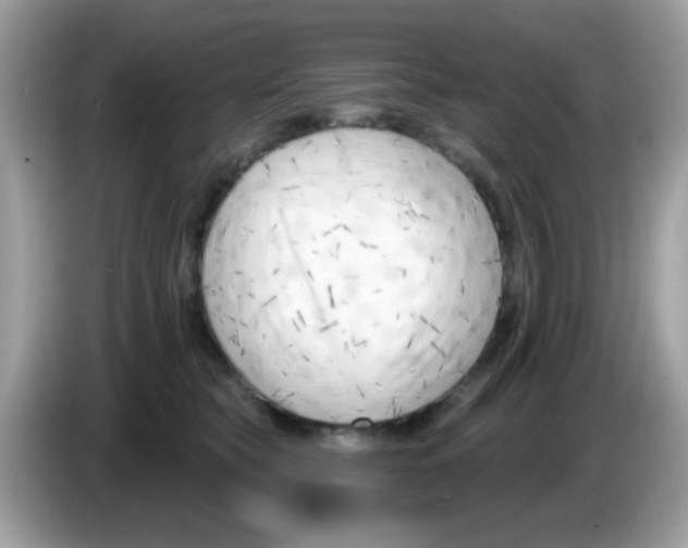 X0000086250565200704261938