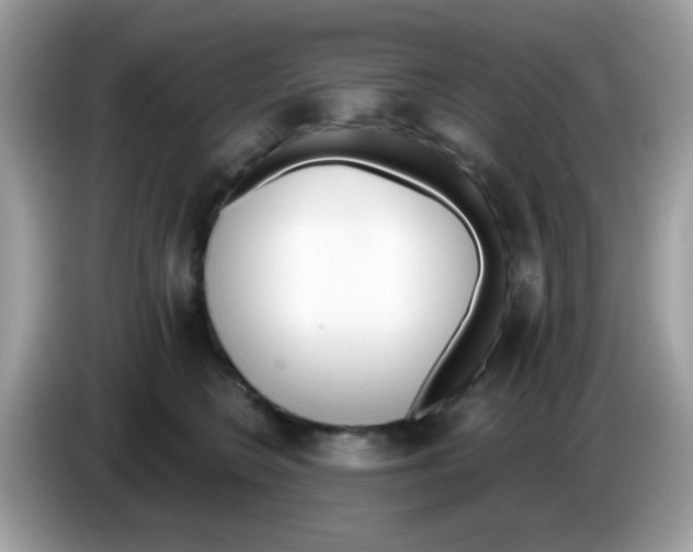 X0000086250566200704261938