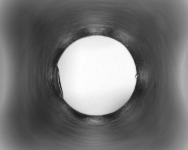 X0000086250567200704261938