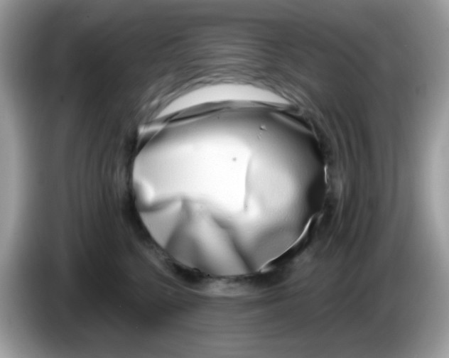 X0000086250568200704261938