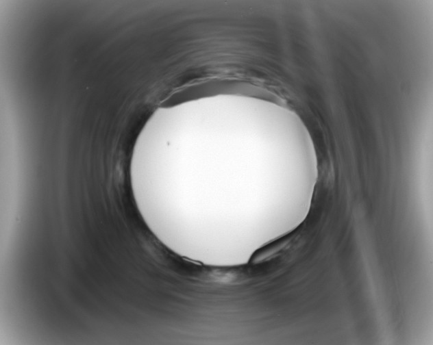 X0000086250570200704261938