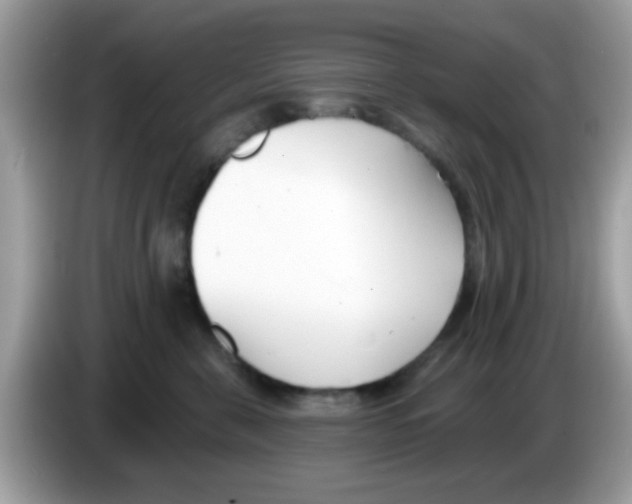 X0000086250571200704261938