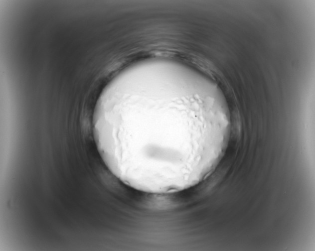 X0000086250573200704261938