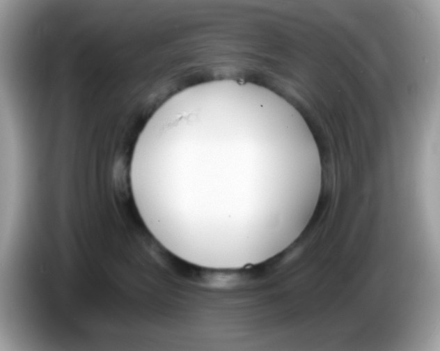 X0000086250575200704261938