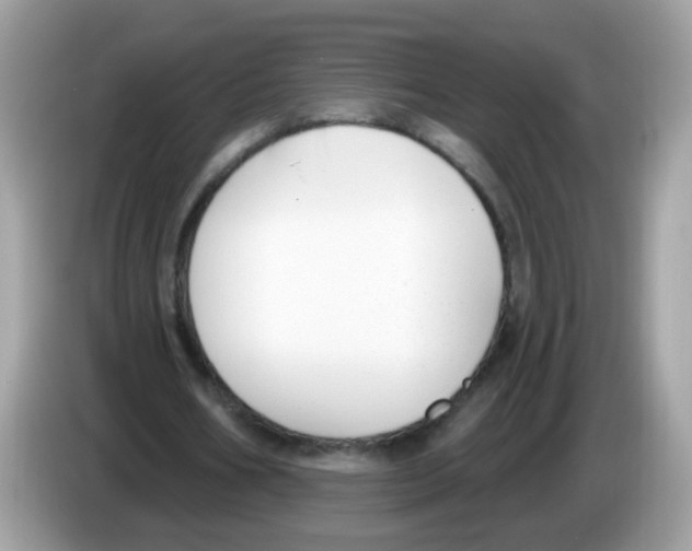 X0000086250578200704261938