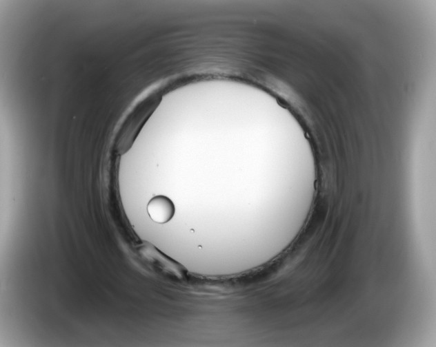 X0000086250580200704261937