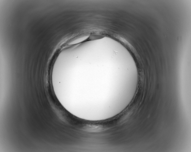 X0000086250582200704261937