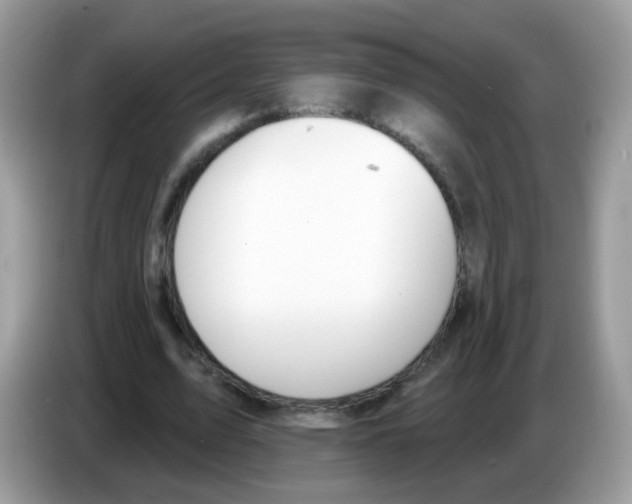 X0000086250583200704261937
