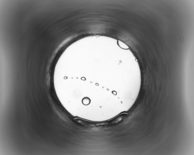 X0000086250584200704261937