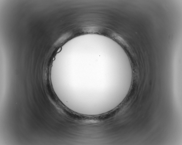 X0000086250586200704261937