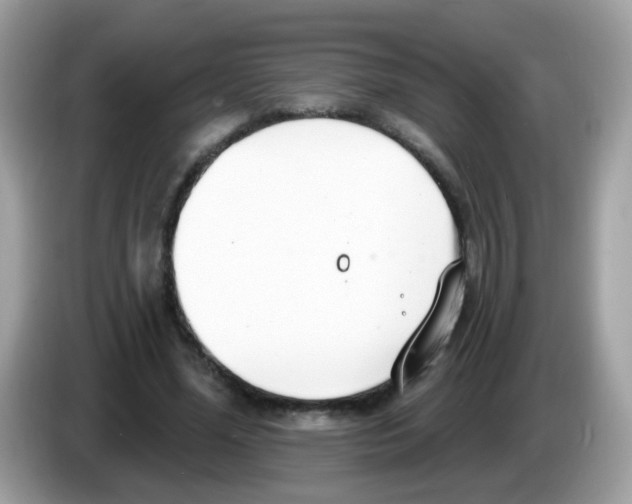 X0000086250588200704261937