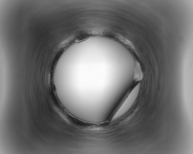 X0000086250589200704261937