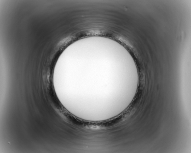 X0000086250590200704261937