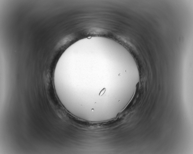 X0000086250591200704261937