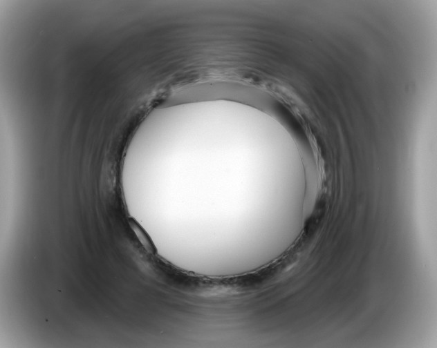X0000086250593200704261937