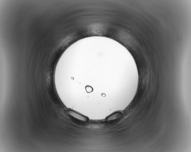 X0000086250595200704261937