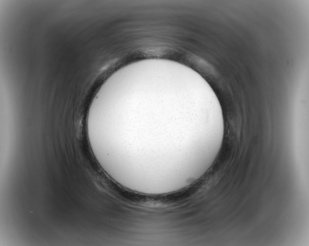 X0000086250596200704261937
