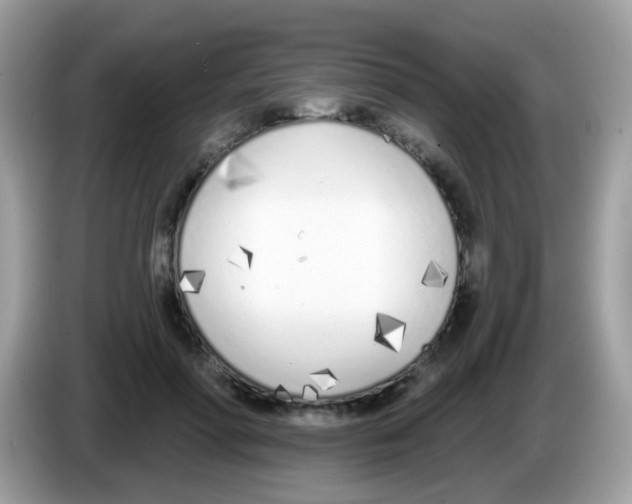 X0000086250598200704261937