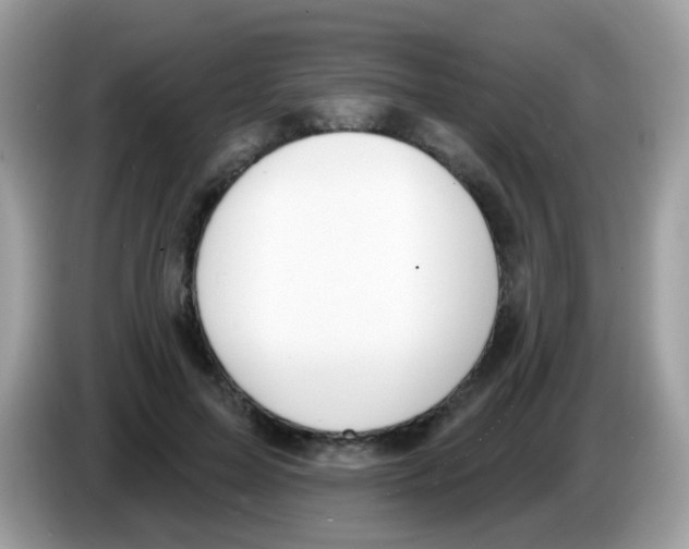 X0000086250599200704261937
