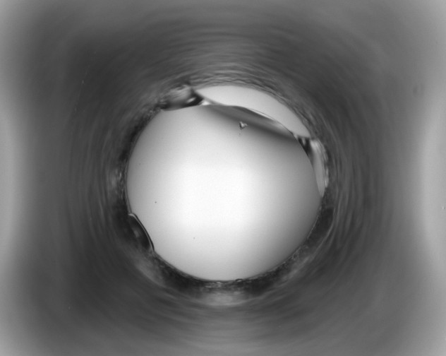 X0000086250601200704261937