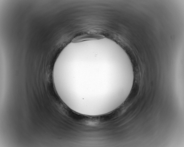 X0000086250604200704261937