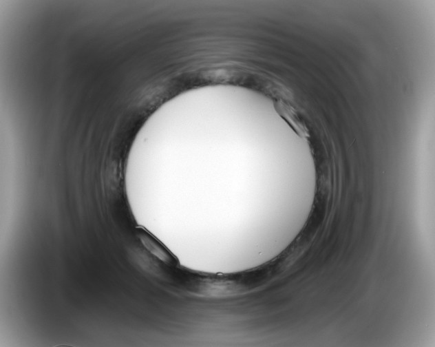 X0000086250605200704261937