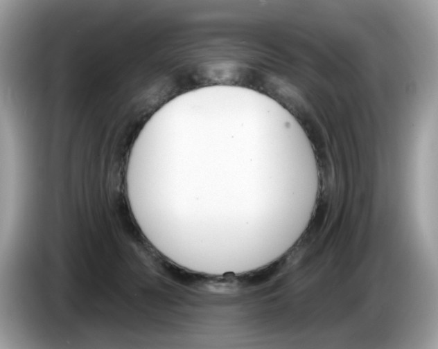 X0000086250606200704261937
