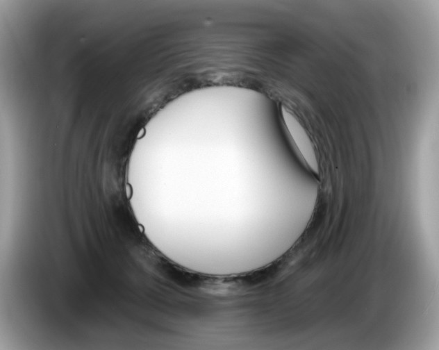 X0000086250607200704261937