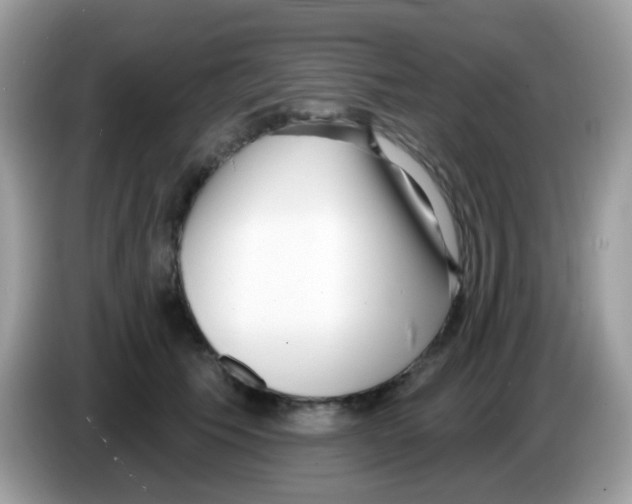 X0000086250609200704261937