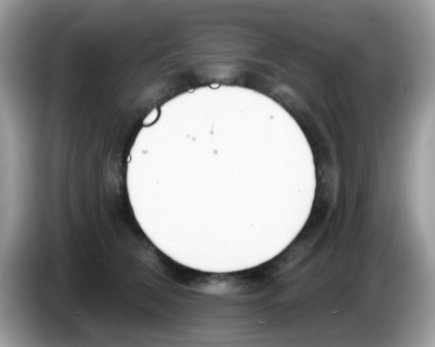 X0000086250612200704261937