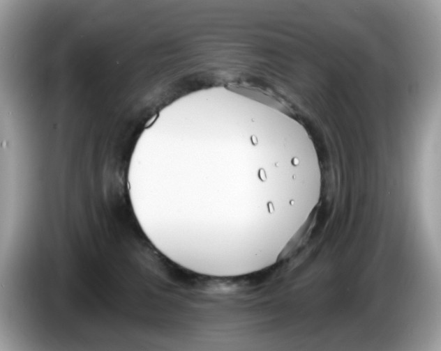 X0000086250613200704261937