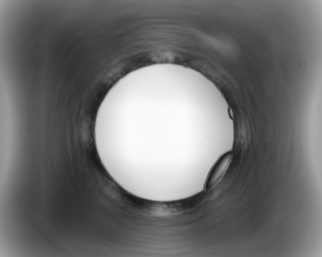 X0000086250616200704261937