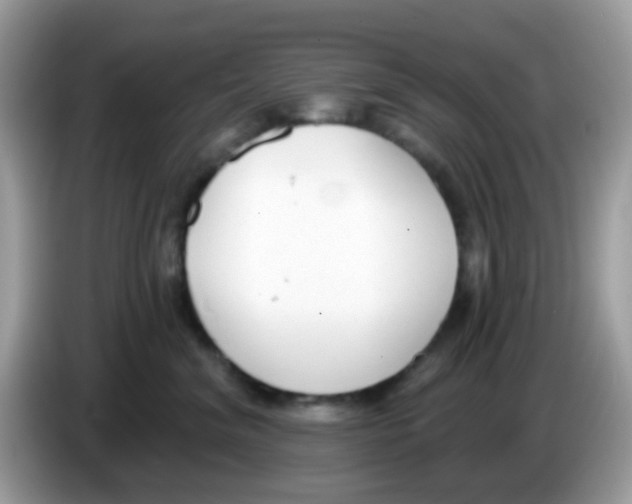 X0000086250620200704261937