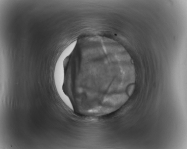 X0000086250624200704261937
