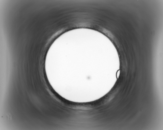 X0000086250625200704261936