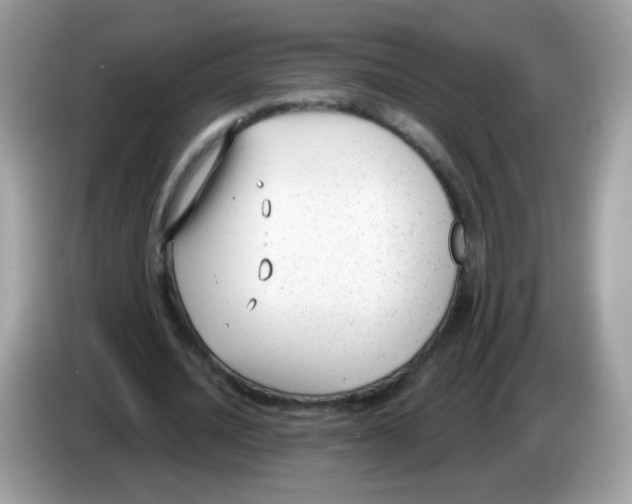 X0000086250628200704261936