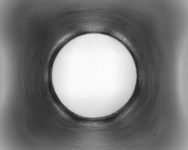 X0000086250629200704261936